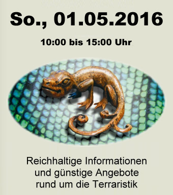 termininfo